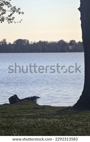 Lakeshore  at sunset with a park in the distance framed by plants Royalty-Free Stock Photo #2292313583
