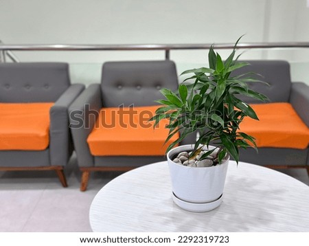 Office Waiting Room or Clinic or Hospital for Illustration (Ruang Tunggu Kantor atau Klinik atau Rumah Sakit untuk Ilustrasi)