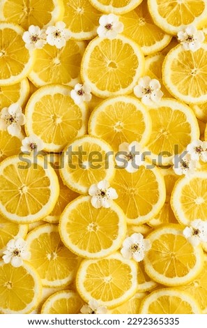 Flatlay lemons with flowers. Yellow, bright, inviting scene. Background photography. Limoncello images. Lemon drinks and cocktails. Floral. Summer vibes. 