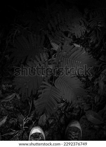 A man have an adventure in a forest with Black and White Concept Photograph