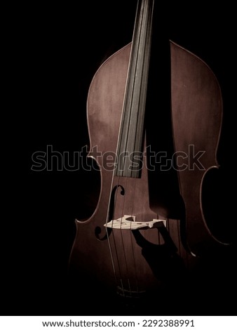 musical instrument close up shot  Royalty-Free Stock Photo #2292388991