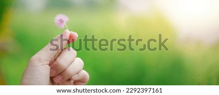 girl's hand holding a dandelion flower in nature. Flower in hand.
