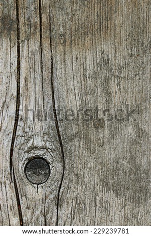 texture of wood background fiber