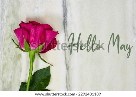Hello May hand lettering card. Spring rose flower on marble background