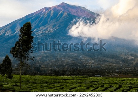 Mount Kerinci (Gunung Kerinci) is the highest mountain in Sumatra, the highest volcano and the highest peak in Indonesia with an altitude of 3805 masl, located in the Kerinci Seblat National Park area Royalty-Free Stock Photo #2292452303