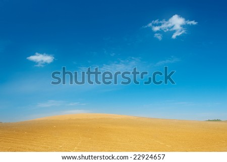 Yellow sand field
