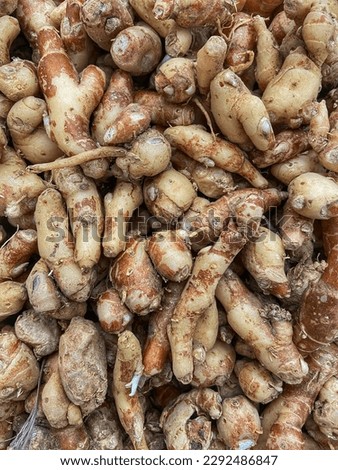 Pile of fresh ginger in market