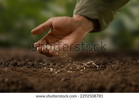 Expert farmer sowing seed on a good soil. grow vegetable and flower at garden concept. Royalty-Free Stock Photo #2292508781