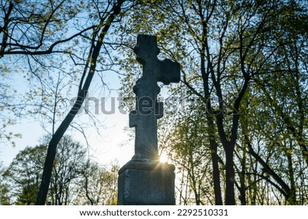 Orthodox stone cross on the grave, spring at sunset
