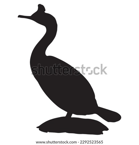 Cormorant bird silhouette with white background. vector Artwork.