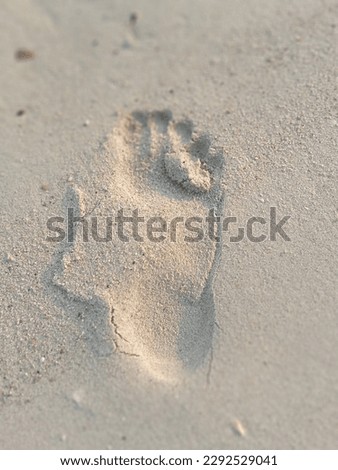 foot print in the beach sand Royalty-Free Stock Photo #2292529041