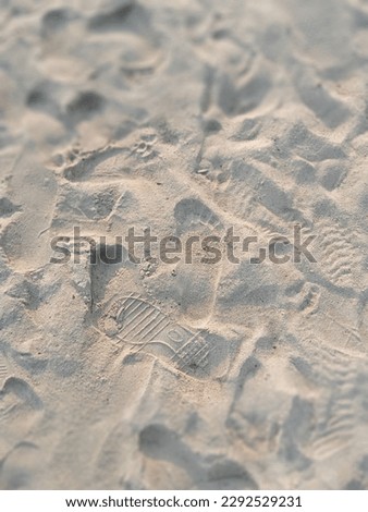 foot steps in the sand Royalty-Free Stock Photo #2292529231