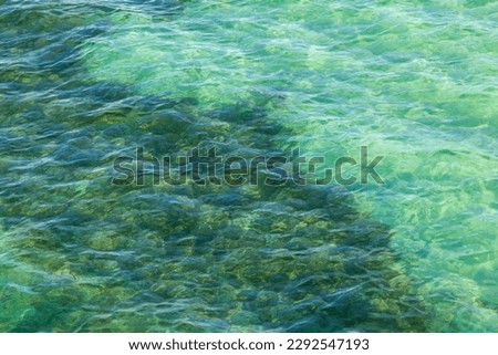 green and turquoise sea water for background