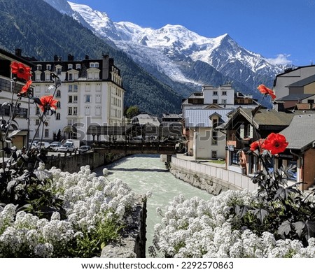 Flowers and view of Mont Blanc, Chamonix, France  Royalty-Free Stock Photo #2292570863