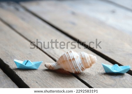 Seashell on a wooden background. Summer background.