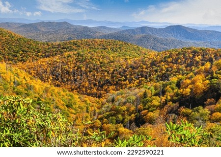 Pisgah National Forest, North Carolina, USA during autumn. Royalty-Free Stock Photo #2292590221