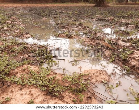 puddle after rain in rural area of thailand