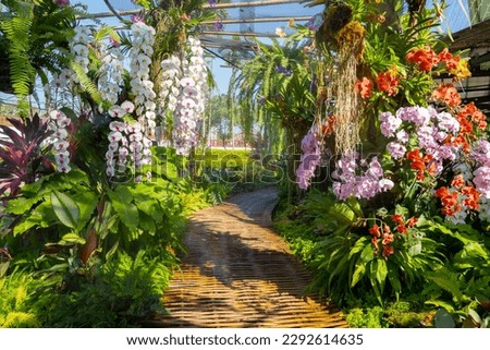 Walkway in Colorful Orchids in the Garden