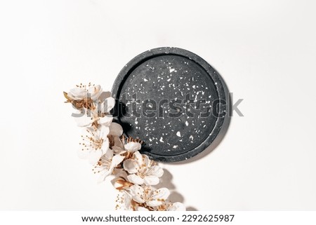 Beauty cosmetics product presentation flat lay mockup scene made with black circle shape and flowering branch. Studio photography.