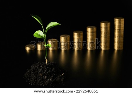 Green sprout in the ground against the background of stacks of coins