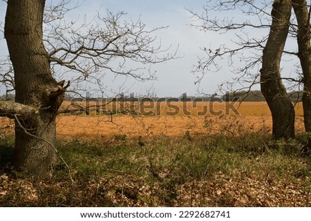 Nature and industrial agriculture, conflicting interests : nature reserve adjacent to agricultural plot on which grass has been sprayed to death with glyphosate Royalty-Free Stock Photo #2292682741