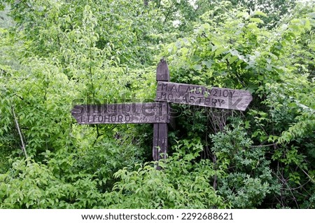 Direction sign in the forest