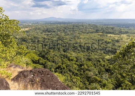 Rock paintings in Cerro Azul in the Chiribiquete National Park, a UNESCO world heritage site and an archeological jewel of Colombia, located in San José del Guaviare in the Serranía de la Lindosa Royalty-Free Stock Photo #2292701545