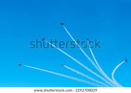 Aerial avia show, military fighter