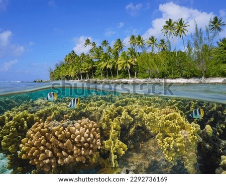 Tropical coastline with a coral reef underwater, split level view over and under water surface, Pacific ocean, French Polynesia, Huahine island Royalty-Free Stock Photo #2292736169