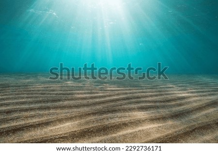 Rays of sunlight underwater with ripples of sand on the seabed in the Mediterranean sea, France Royalty-Free Stock Photo #2292736171