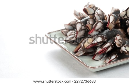 Barnacles, goose neck barnacle, percebes, gallician barnacles in a plate, isolated on white background, close-up. Border design. Pollicipes pollicipes. Expensive delicatessen, gourmet sea food. Royalty-Free Stock Photo #2292736683