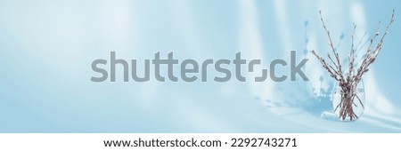 Composition in style of minimalism. Fresh willow branches in glass of water on light blue background with sunshine and beautiful shadows. Spring panoramic wide banner with copy space