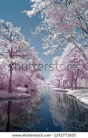 infrared park beautiful trees, and nature outdoors