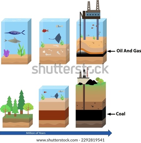 oil and gas formation diagram vector illustration, coal formation process illustration, coal formation diagram, mining process concept, mining process for infographic content Royalty-Free Stock Photo #2292819541