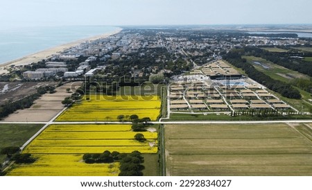 Rapeseed fields near the Adriatic Sea, Bibione, province of Venice, Italy