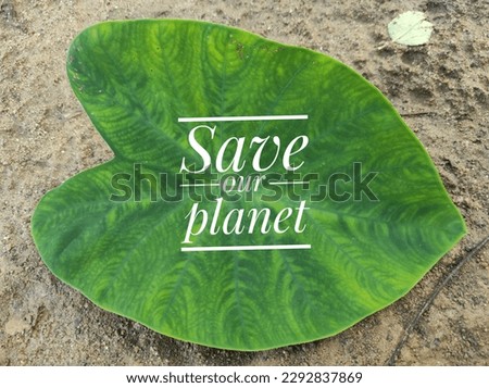 Save our planet text against a background of green leaves lying on the ground