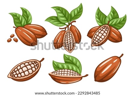 Set of cocoa beans isolated on white background. Logo template. Cacao bod. elements. Vector illustration Royalty-Free Stock Photo #2292843485
