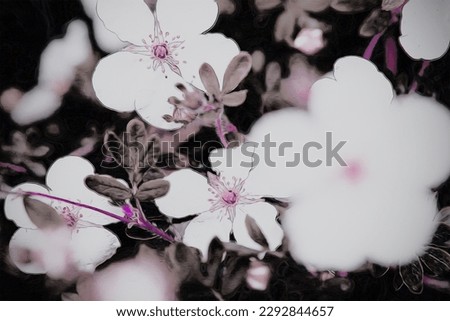 Blooming flowers, beautiful plants, spring motif, natural background for text, black background, texture