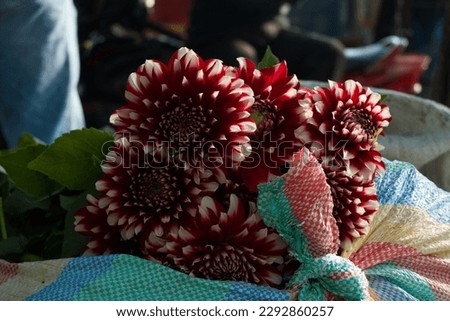 flower in bag to sell and earn money