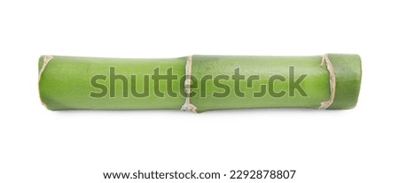 Piece of beautiful green bamboo stem on white background Royalty-Free Stock Photo #2292878807