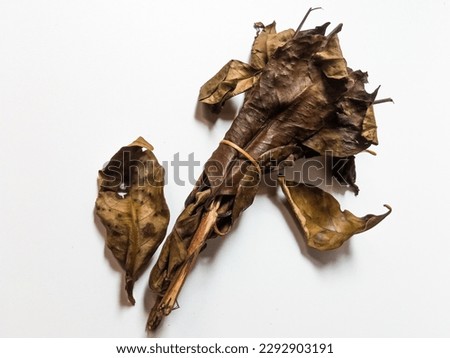 close-up bunch of tied dried bay leaves  isolated on white .  Spice leaves used in Indonesian cuisine.
