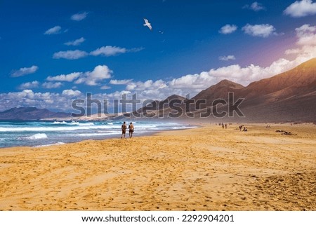 Amazing Cofete beach with endless horizon. Volcanic hills in the background and Atlantic Ocean. Cofete beach, Fuerteventura, Canary Islands, Spain. Playa de Cofete, Fuerteventura, Canary Islands.
