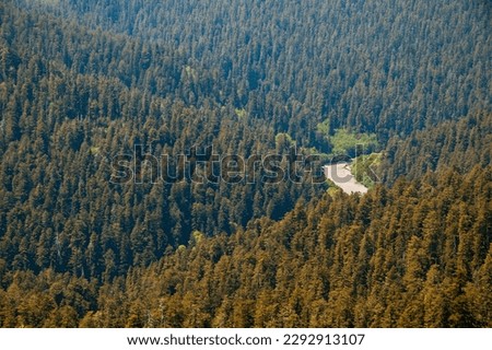 Redwood National Park in California Royalty-Free Stock Photo #2292913107