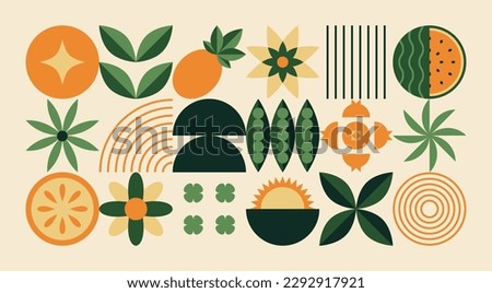 Geometric natural pattern. Abstract fruit plant leaf simple shape, minimal botanic eco agriculture concept. Vector banner Royalty-Free Stock Photo #2292917921