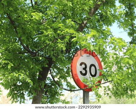 Traffic sign hidden behind the leaves of the trees