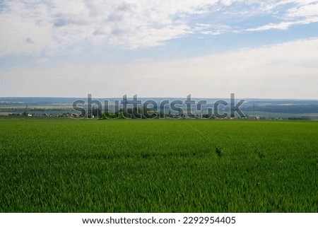 Landscape shot of fields and cloudy sky. High quality photo