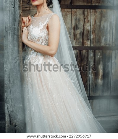 A stylish bride in a white wedding dress and veil stands near a rural wooden house. Image for your creative design or illustrations.