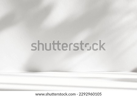 Abstract white studio background with shadows of window. Empty 3d room. Display product with blurred backdrop.