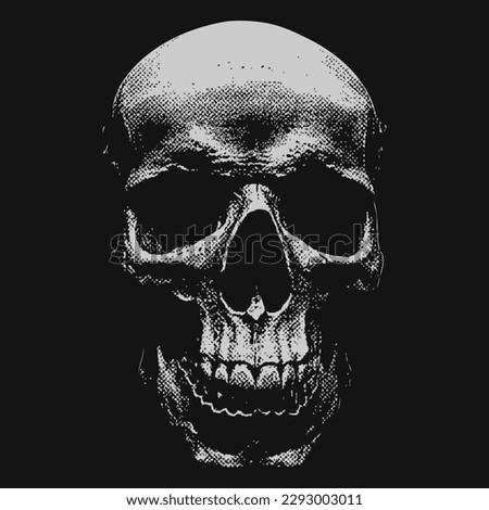 skull white on black night scare face vector