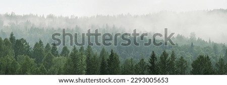 Mountain taiga, a wild place in Siberia. Coniferous forest, morning fog, panoramic view. Royalty-Free Stock Photo #2293005653